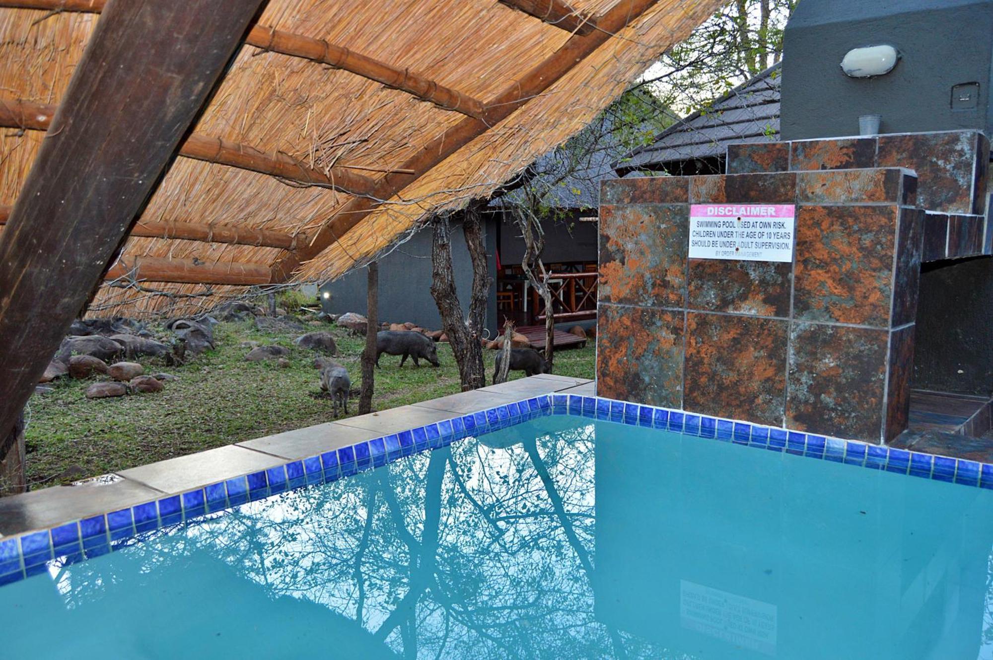 Royal Marlothi Kruger Safari Lodge And Spa Marloth Park Exteriér fotografie
