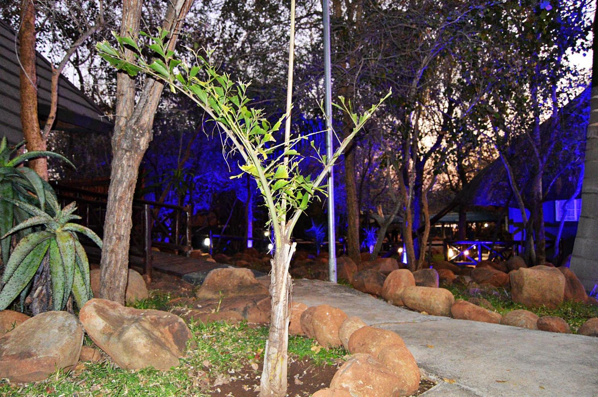 Royal Marlothi Kruger Safari Lodge And Spa Marloth Park Exteriér fotografie